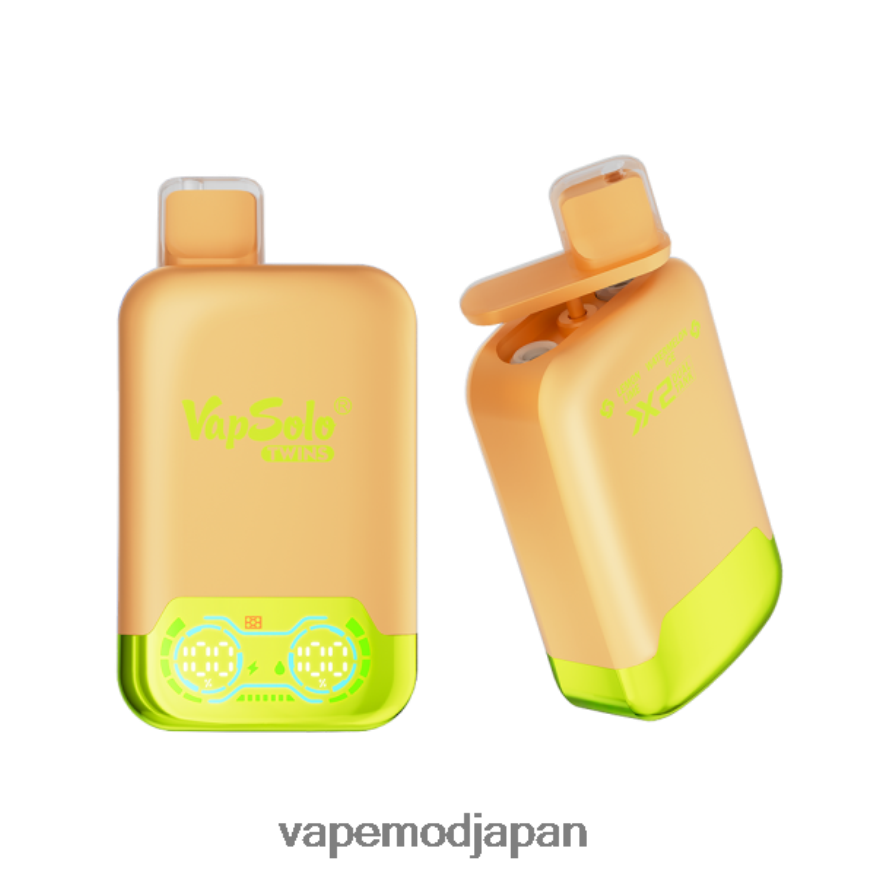 Vape Japan - Vapsolo TWINS 使い捨て電子タバコ レモンライム＆スイカアイス 22X0BB141