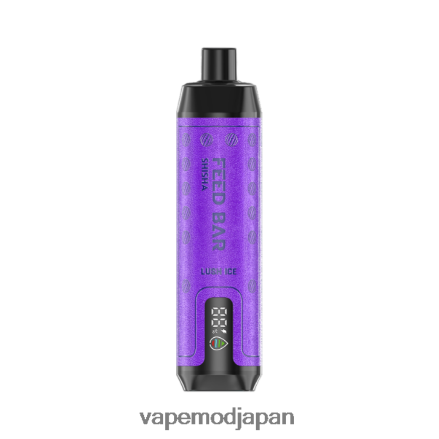 Vape リキッド - Vapsolo SHISHA 使い捨て電子タバコ 豊かな氷 22X0BB120
