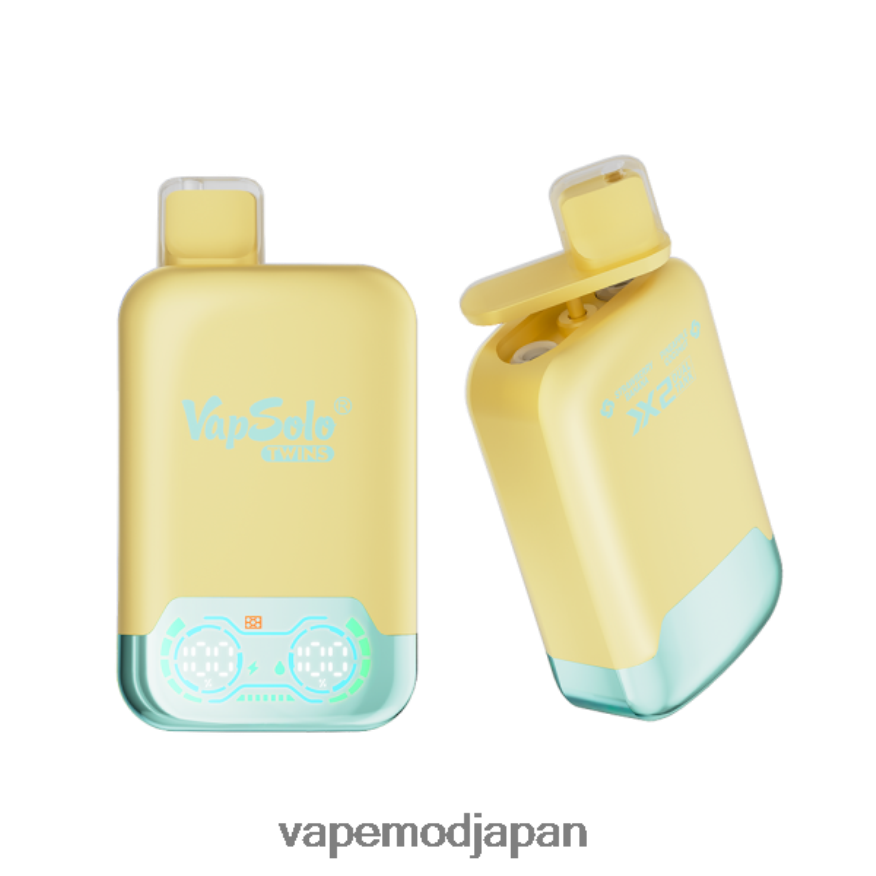 Vape おすすめ - Vapsolo TWINS 使い捨て電子タバコ パイナップルココナッツ＆ストロベリーバナナ 22X0BB143