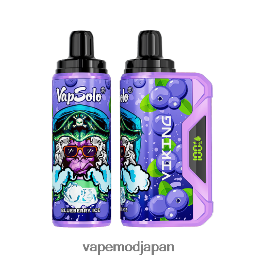 Vape リキッド - Vapsolo VIKING 使い捨て電子タバコ ブルーベリー 22X0BB148
