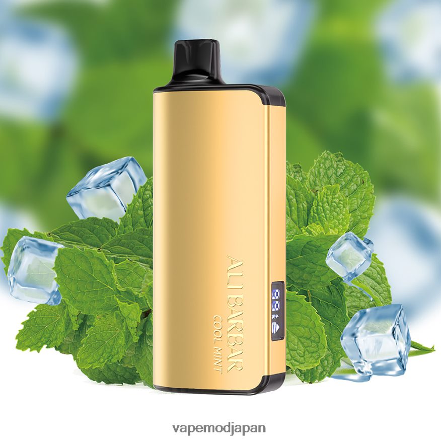 Vape ニコチン - Alibarbar Ingot 9000 使い捨て電子タバコ クールミント 22X0BB18