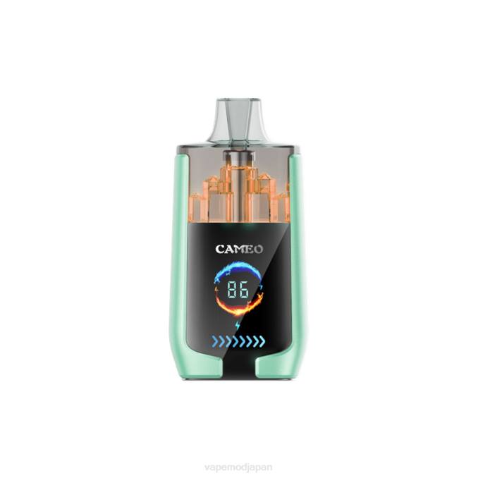 Vape ニコチン - ダブルアップル T46B20 LAVIE CAMEO 30000パフ
